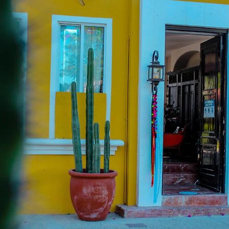 El Encanto Inn & Suites San Jose del Cabo Ngoại thất bức ảnh