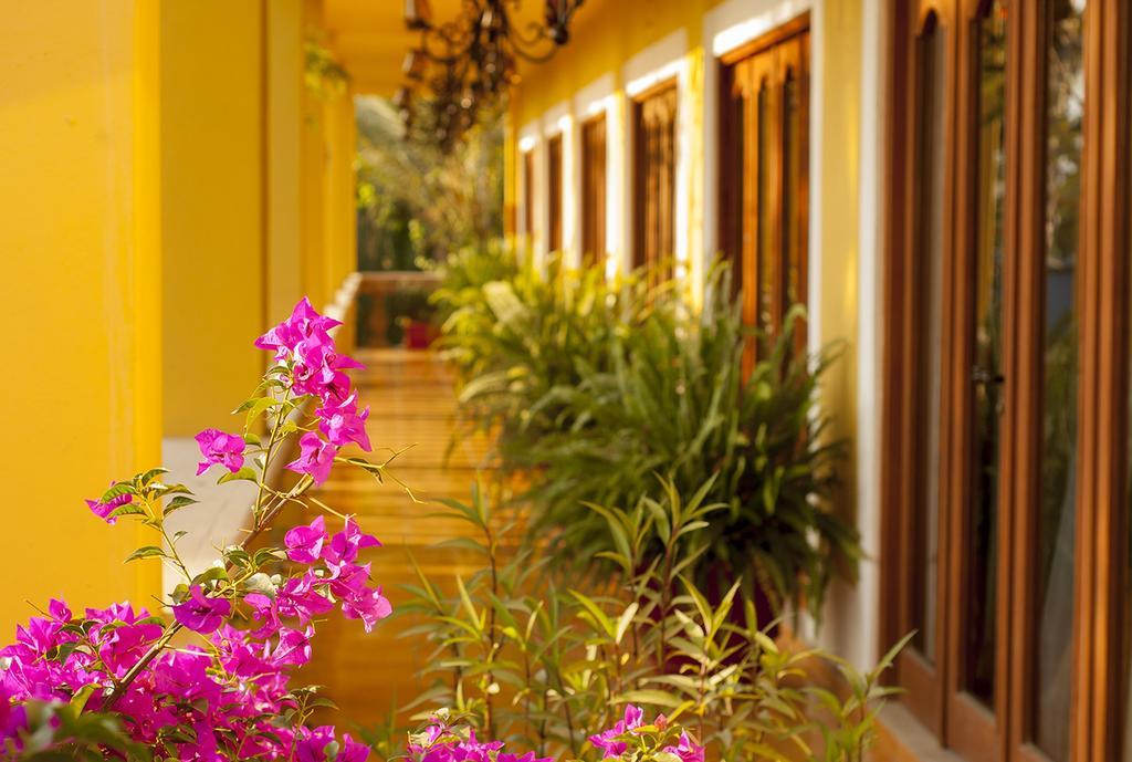 El Encanto Inn & Suites San Jose del Cabo Ngoại thất bức ảnh
