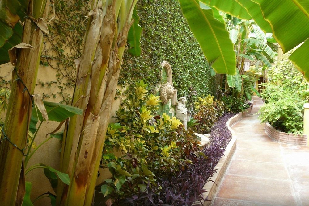 El Encanto Inn & Suites San Jose del Cabo Ngoại thất bức ảnh