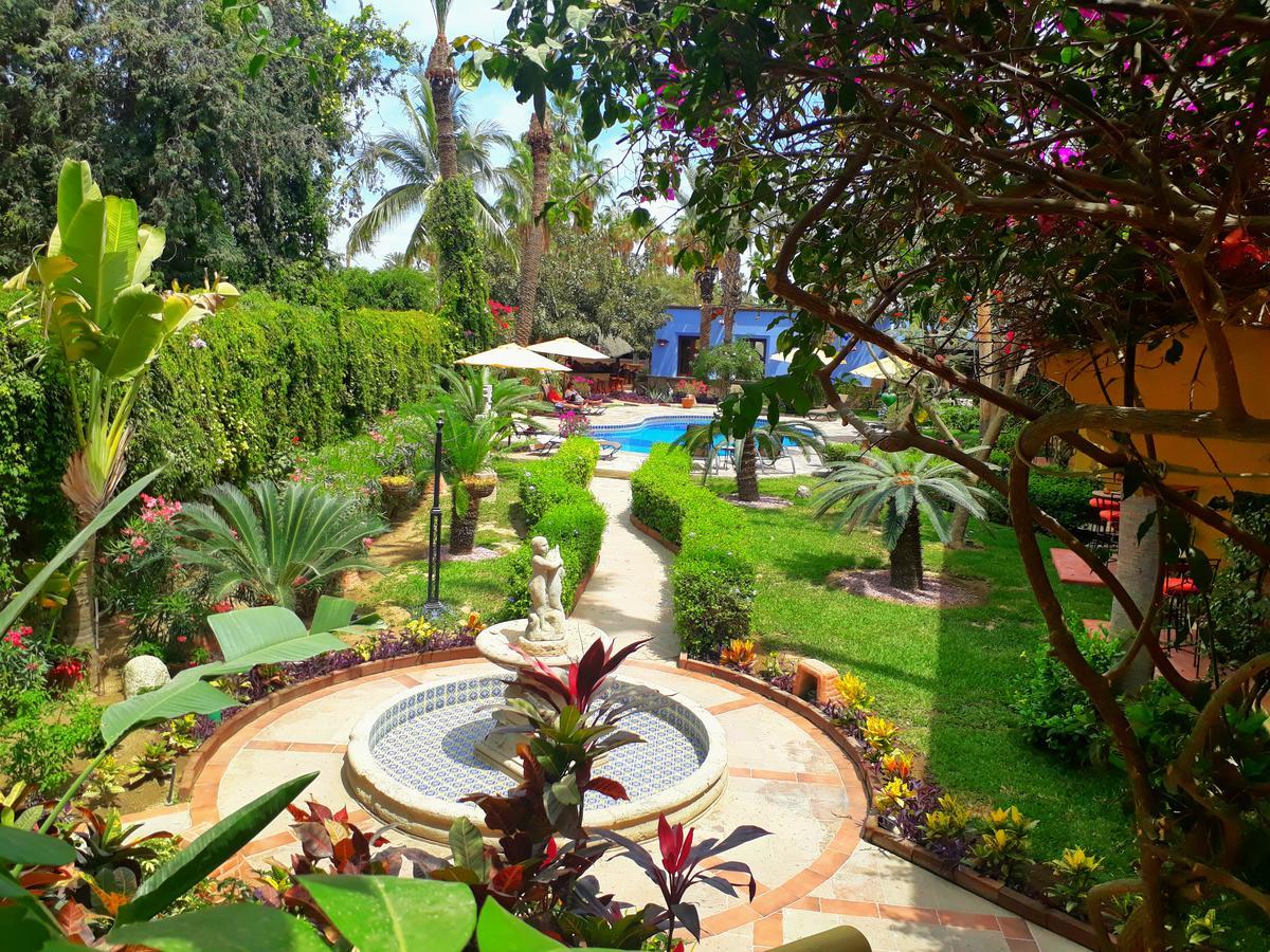 El Encanto Inn & Suites San Jose del Cabo Ngoại thất bức ảnh