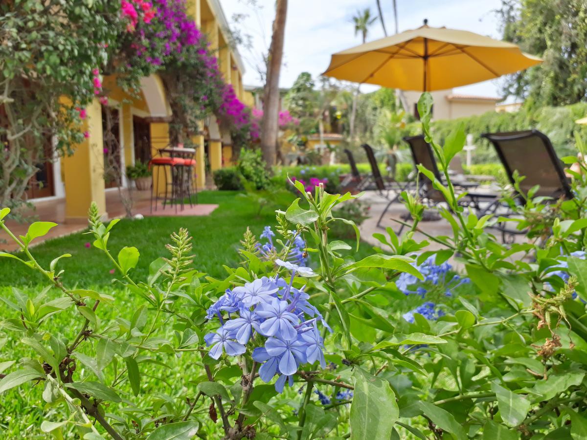 El Encanto Inn & Suites San Jose del Cabo Ngoại thất bức ảnh